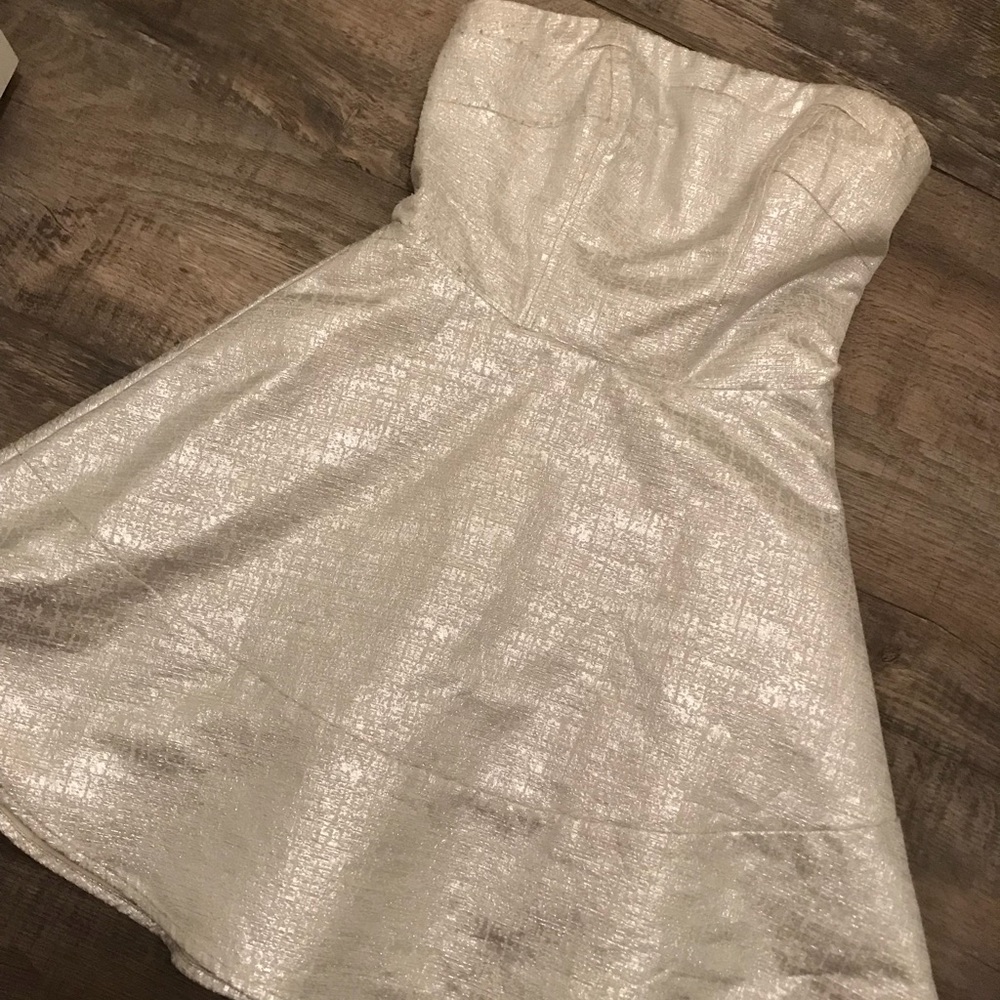 Express Silver Cocktail Dress